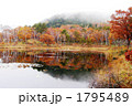 志賀高原の紅葉