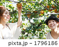 梨狩りをする楽しげな若い女性