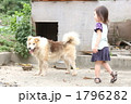 犬と遊ぶ 犬と遊ぶ