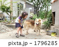 犬と遊ぶ 犬と遊ぶ