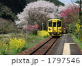 1797546
