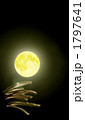 中秋の名月　2010-9-23　春分の日撮影