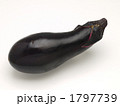 茄子