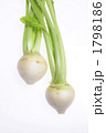 1798186