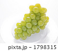 ブドウ　ポートランド