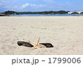 天草松島にて