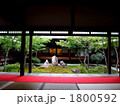 建仁寺の日本庭園