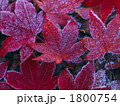 1800754