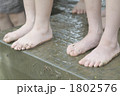 田植え