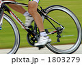 自転車ロードレース