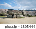 石舞台古墳と桜、明日香村の春