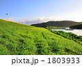 土手の風景