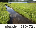 湿原の小川