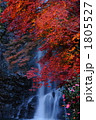 紅葉と滝
