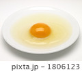 生卵