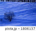 冬の光Ⅱ