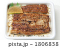 美味しそうなうなぎ弁当