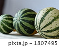 ペポカボチャ_オモチャ南瓜