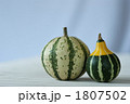 ペポカボチャ_オモチャ南瓜