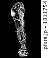 My Arm Is True