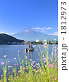 コスモスと富士山-7477