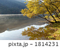 秋の尾瀬・丸沼の水辺