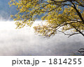 秋の尾瀬・丸沼の水辺