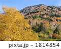 秋の奥日光・金精峠付近の紅葉