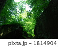 岳岱自然観察教育林