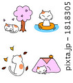四季ねこ