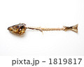 奇麗に食べた魚