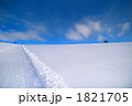 新雪の朝