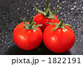 素材ナンバー 1822191 : 「プチトマト」