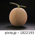 素材ナンバー 1822193 : 「メロン」