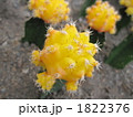 1822376