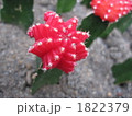 1822379
