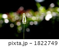 1822749