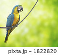 1822820