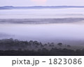 1823086
