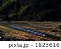 ブルートレイン