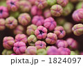花一凛