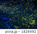 1826492