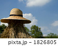農業イメージ(収穫)