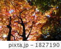 1827190