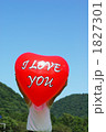I LOVE YOU