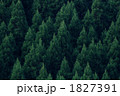 1827391