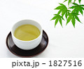 緑茶　横1