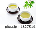 緑茶　横2
