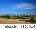 春の丘と十勝岳連峰 02
