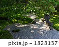 新緑の光明禅寺